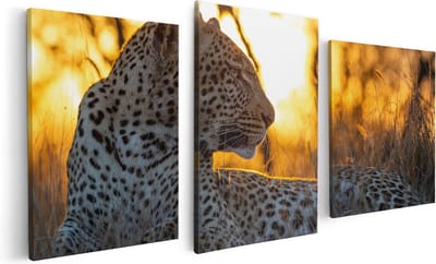 Artaza Canvas Schilderij Drieluik Luipaard Tijdens De Zonsondergang - 120x60 - Foto Op Canvas - Canvas Print