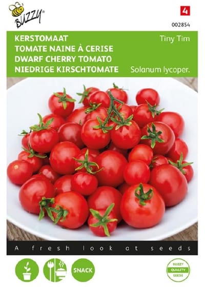 Kerstomaten Tiny Tim (Solanum lycopersicum)