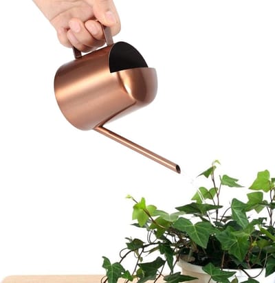 Kleine Waterkan 10oz/300ml - Metaal Waterkan - Planten Water geven - Langneks Waterkan voor Binnen Buiten Planten - Tuin Bloemen