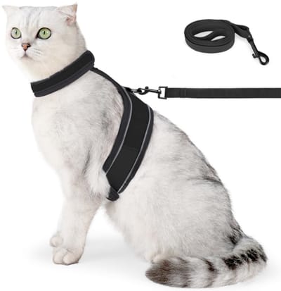 Dailygoody - Kattentuigje - Reflecterend mesh kattenjasje - Anti-brekend ontwerp - Zwart - Kattentraining - Ideaal voor wandelen en draven