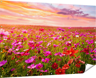 Gards Tuinposter Kleurrijke Kosmos Bloemenveld - 180x120 cm - Tuindoek - Tuindecoratie - Wanddecoratie buiten - Tuinschilderij