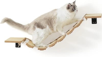 PolkaHome Muurmontage Kattenbrug - 32,5 cm Breede Kattenplank en Klimtrap voor DIY Kattensnelweg en Kattenmuur - Geschikt voor Kittens, Middelgrote en Grote Katten