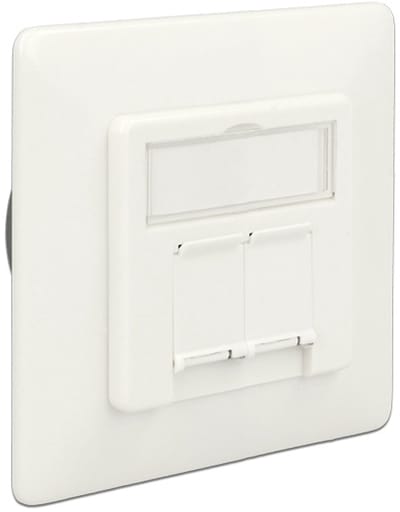 Delock Modular Wall Outlet flush mount 2 Port Cat.6A LSA