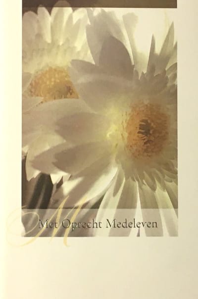 Luxe Wenskaart Deelneming - Condoleance - Overlijden - Oprechte Deelneming - Art of Cards - 11,5x17cm - Dubbele Kaart - Met Envelop - Luxe Wens Kaart - Greeting Card - 1 Stuks - In Folie Verpakt - Angel 42 - Bloemen - Gratis Verzonden