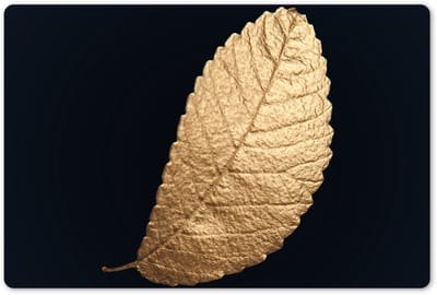 Placemats 45x30 cm - Placemat kunststof - 1 stuk - Goud - Bladeren - Zwart - Planten - Luxe - Natuur - Borden onderleggers - Decoratie voor op tafel - Keuken tafeldecoratie accessoires - Vinyl onderlegger - Tafelversiering