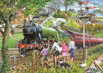 Full Steam Ahead Puzzel 1000 Stukjes
