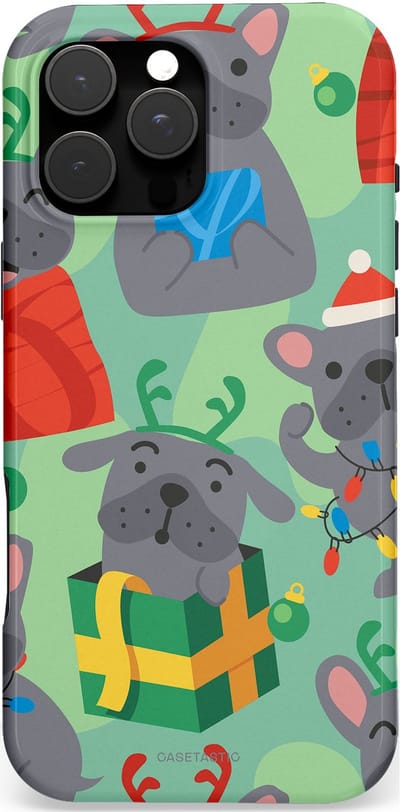 Casetastic hoesje geschikt voor Apple iPhone 16 Pro Max - MagSafe - Dubbellaagse bescherming - Hondje als Kerstcadeau - Fashion Case - Mintgroen Grijs Rood