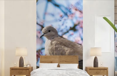 Behang - Fotobehang Vogel - Bloemen - Duif - Bloesem takken - Roze - Breedte 120 cm x hoogte 240 cm