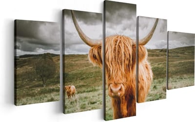 Artaza Canvas Schilderij Vijfluik Schotse Hooglanders In De Wei - Kleur - 100x50 cm - Wanddecoratie Woonkamer - Schilderijen - Muurdecoratie