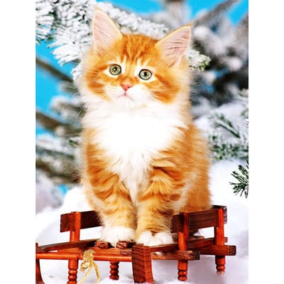 Kat op stoel schilderij Cross Stitch Kit gedrukte handwerkpatronen diamant borduurwerk 20X30CM orange