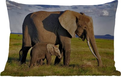 Buitenkussens - Tuin - Moeder en baby olifant door de savanne - 60x40 cm