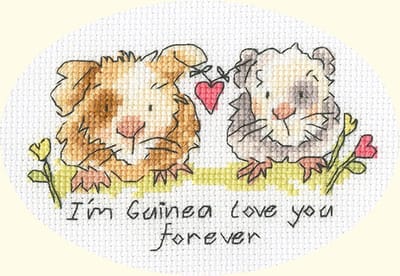 Bothy Threads Eleanor Teasdale I'm Guinea Love You Forever borduren (pakket) XGC41