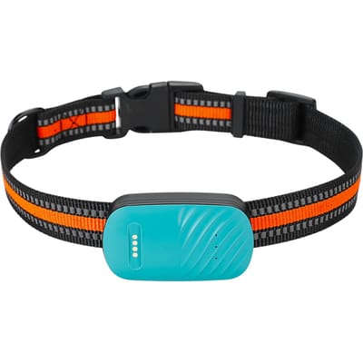 Traceur GPS pour animaux de compagnie, clôture électronique étanche, collier pour chien et chat, prévention des pertes, positionnement Multiple vert