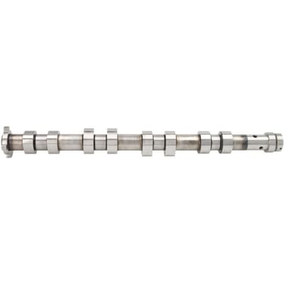 Nokkenas  AE CAM957