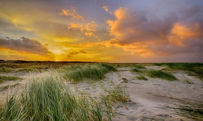 Fotobehang duinen en strand Schiermonnikoog 350 x 260 cm - € 235,--