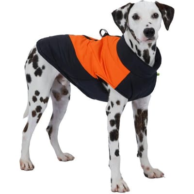 Grote hond huisdier winterjas hond katoenen jas Franse bulldog rits nieuw warm vest winddicht en waterdicht jack S