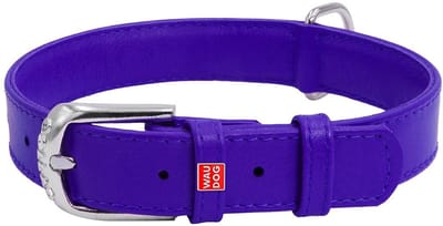 WAUDOG Glamour Halsband / Hondenhalsband - Echt Leder - Paars - L - Breedte: 25 mm - Nekomtrek: 38 - 49 cm (GELIEVE ALVORENS BESTELLEN OPMETEN)