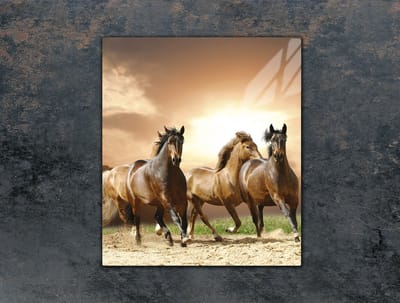 TMK ArtDeko - Snijplank - Glass - 45x52 cm - Veilig en Elegant