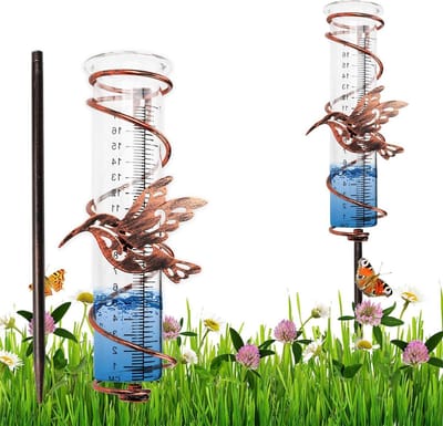 Regenmeter van glas - 45 cm - grondpen - dubbele regenbuis - buiten - neerslagbewaking - tuin - gazon (kolibrie)
