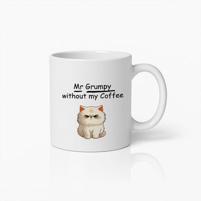 Mr Grumpy Koffiemok 330ml – Grappig Cadeau Voor Kattenliefhebbers, Humoristische Ochtendmok