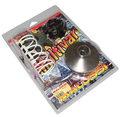 Variateur Malossi pour Quad Dinli 50 Helix Neuf
