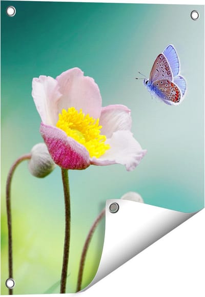 Gards Tuinposter Roze Anemoon Bloem met een Blauwe Vlinder - 40x50 cm - Tuindoek - Tuindecoratie - Wanddecoratie buiten - Tuinschilderij