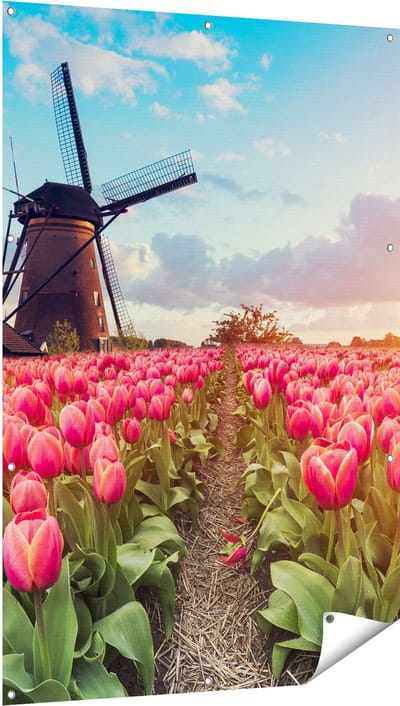 Gards Tuinposter Roze Tulpen Bloemenveld - met Windmolen - 100x150 cm - Tuindoek - Tuindecoratie - Wanddecoratie buiten - Tuinschilderij