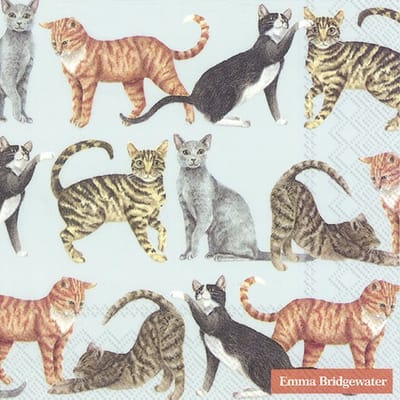 IHR - CATS light blue - papieren cocktail servetten