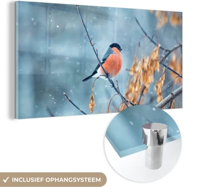 MuchoWow® Glasschilderij 40x20 cm - Schilderij acrylglas - Roodborstje - Vogel - Sneeuw - Herfstbladeren - Foto op glas - Schilderijen