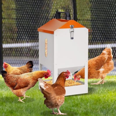 Cosensi - Voederdispenser voor kippen - 8 kg capaciteit - Gegalvaniseerd - Automatische voederuitgifte - Handvat en kijkvenster - Voor gevogelte