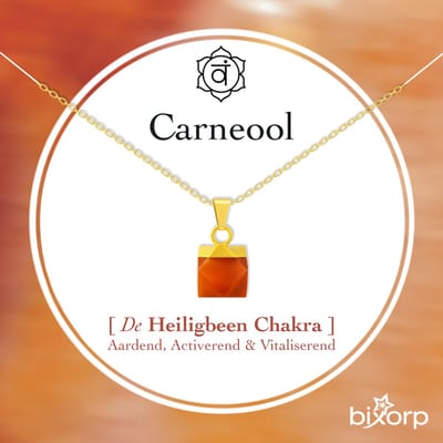 Bixorp Carneool Blokje Ketting - Goud Verguld S925 Zilver + Edelsteen Hanger - Spirituele Chakra Ketting met Cadeau Kaartje - 45cm + 5cm verstelbaar
