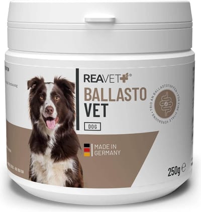 ReaVET - BallastoVET voor Honden - Bevordert een normale stoelgang van je Hond - Voor een gezonde spijsvertering - 250g