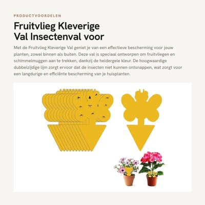 Dailygoods- Fruitvliegval 12 Stuks - Dubbelzijdige Lijm - Insectenvanger - Niet Giftig - UV-Bestendig - Waterdicht - Insectenval