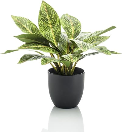 Kunstplant - Croton Codiaeum - Wonderstruik - 38 cm