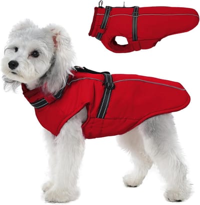 Waterdichte Hondentrui met Harnas – Warme Winterjas voor Kleine tot Grote Honden – Reflecterend & Winddicht