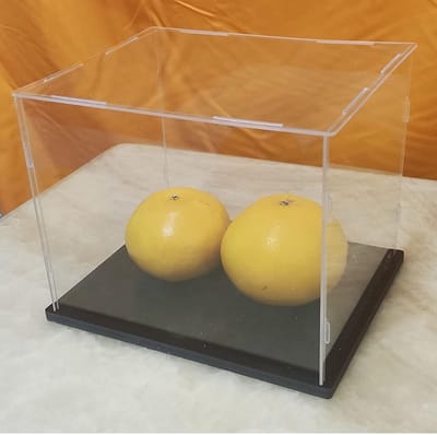 Duidelijke Acryl Display Case voor Actiefiguren en Speelgoed - Stofdichte Showcase met Verstevigde Basis voor Thuisopslag en Organisatie (18x8x12inxh/45x20x30cm)