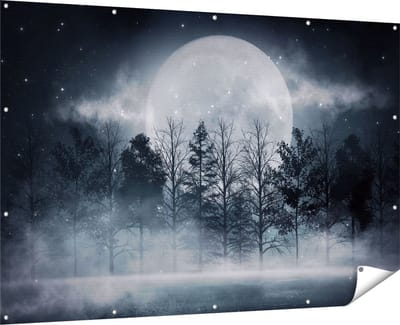 Gards Tuinposter Maan tussen de Bomen in de Nacht - 180x120 cm - Tuindoek - Tuindecoratie - Wanddecoratie buiten - Tuinschilderij