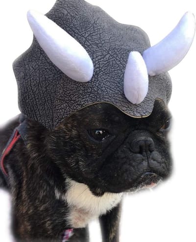 Grappig Triceratops Halloween Kostuum voor Honden en Katten met Elastische Band en Dinosaurus Hoed, Perfect voor Feestjes en Verkleedpartijen