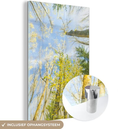 ® Glasschilderij 120x180 cm - Schilderij acrylglas - Reusachtige bomen in het Nationaal park Sierra de Guadarrama in Spanje - Foto op glas - Muurdecoratie woonkamer - Wanddecoratie slaapkamer - Schilderijen