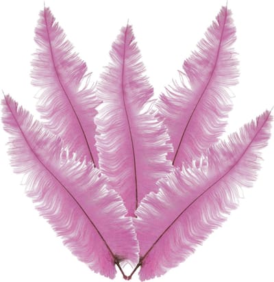Grote struisvogelveer/pietenveer - 5x - roze - 40 cm - Charleston/jaren 20/twenties thema verkleed accessoire