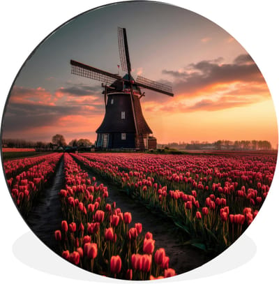 WallCircle - Wandcirkel - Muurcirkel - Molen - Zonsondergang - Tulpen - Rood - Aluminium - Dibond - 30x30 cm - Binnen en Buiten