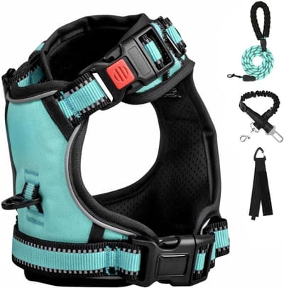 Famanu – Anti-trek hondentuig - borsttuig voor kleine honden veiligheidsharnas puppy's - anti-trektuig trainingshalsband puppy tuig reflecterend - Turquoise
