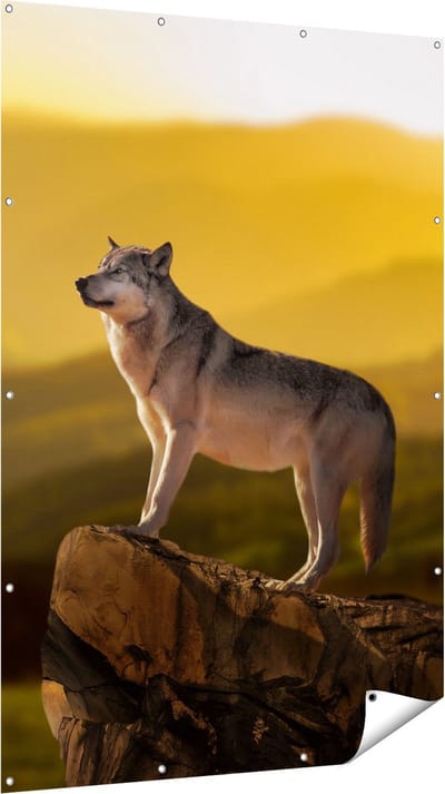 Gards Tuinposter Wolf op een Rots met een Heuvel Landschap - 120x180 cm - Tuindoek - Tuindecoratie - Wanddecoratie buiten - Tuinschilderij
