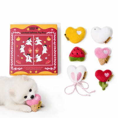 Funny Fuzzy Limited Pet Toy Box – 6 Pluchen Squeakers, Festivalseditie 2026