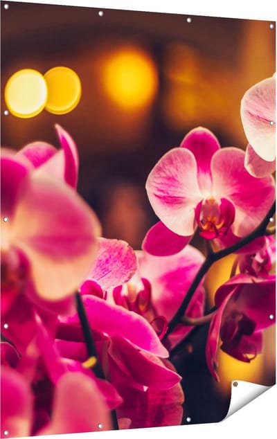 Gards Tuinposter Roze Orchidee Bloemen - 120x160 cm - Tuindoek - Tuindecoratie - Wanddecoratie buiten - Tuinschilderij