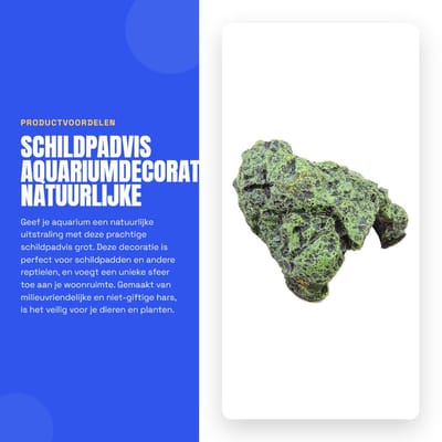 Dailygoods- Schildpadvis Decoratie - Aquarium Grot - Natuurlijke Steensoort - Milieuvriendelijke Hars - Veilig Voor Reptielen - Zachte Hellingshoek - Aquariumdecoratie