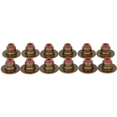 Victor Reinz Pakkingset, klepsteel REINZ 12-12155-01