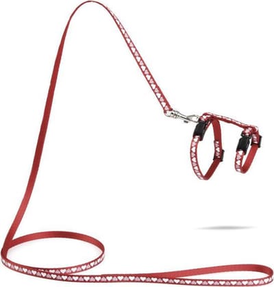 Beeztees Hearts - Kittentuigje - Rood - 120 cm x 10 mm