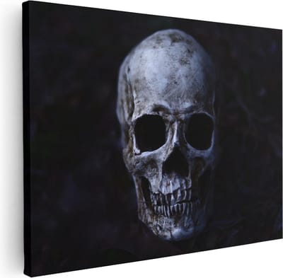 Artaza Canvas Schilderij Schedel - 40x30 cm - Klein - Wanddecoratie Dierenkop - Muurdecoratie Stilleven - Kamer Accessoires