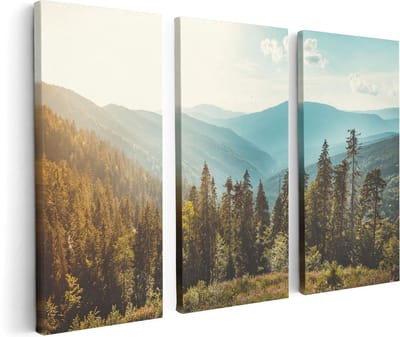Artaza Canvas Schilderij Drieluik Bos Met Bomen In De Hoge Bergen - 120x80 - Foto Op Canvas - Canvas Print